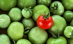 加盟投資創(chuàng)業(yè)項(xiàng)目什么好?